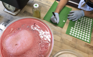 Fresh Watermelon Juice